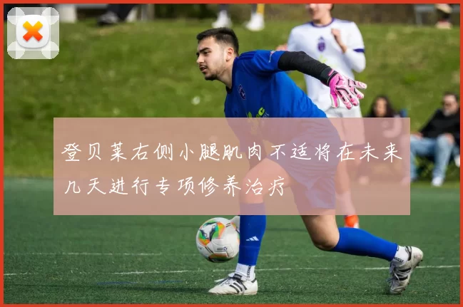 登贝莱右侧小腿肌肉不适将在未来几天进行专项修养治疗