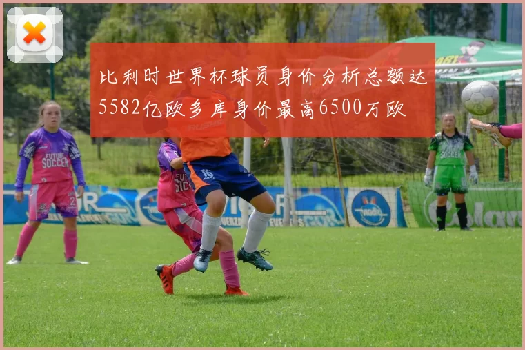 比利时世界杯球员身价分析总额达5582亿欧多库身价最高6500万欧